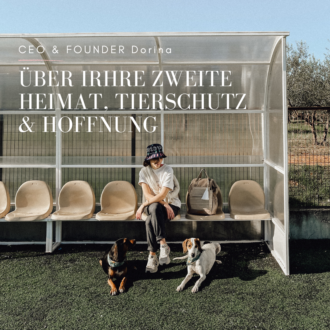 Tierschutz in Griechenland und Hunde retten