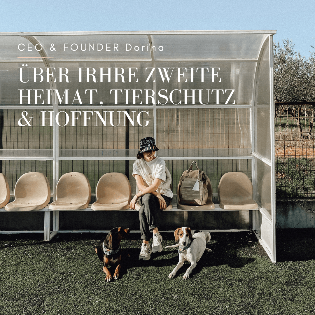 Tierschutz in Griechenland und Hunde retten